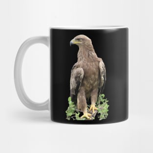 Eagle in Kenya / Afrika Mug